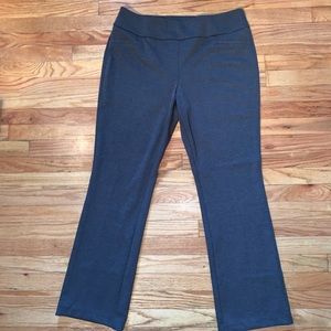 New York & Company Grey Pull On Pants
